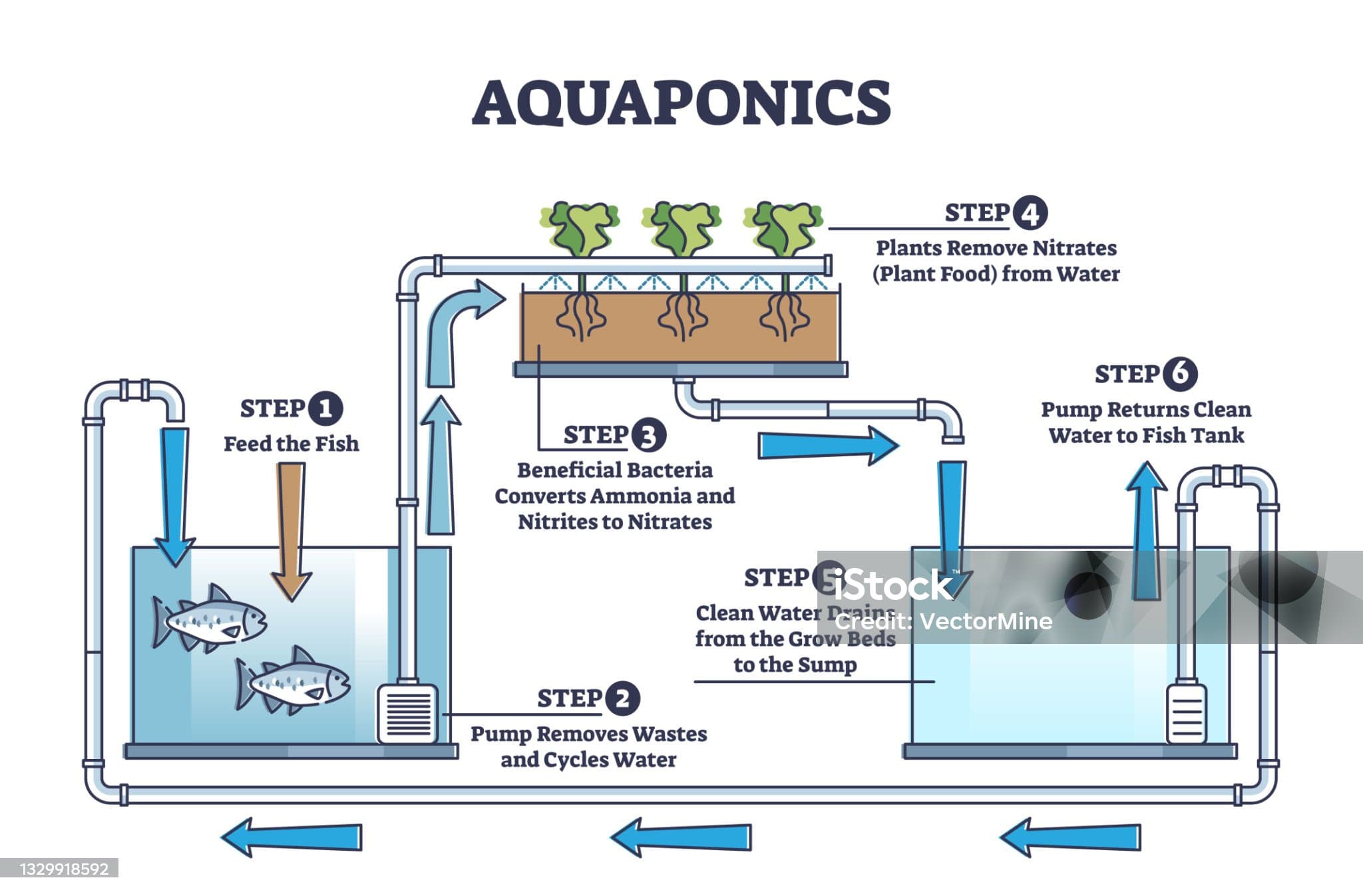 Stock image representing aquaponics
